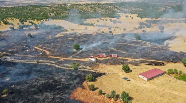 Diyarbakır'ın Lice ilçesinde çıkan orman yangınına müdahale ediliyor