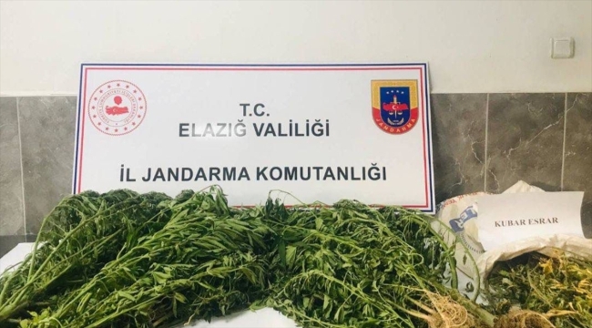 Elazığ'da ektiği Hint kenevirlerini sulayan şüpheli suçüstü yakalandı