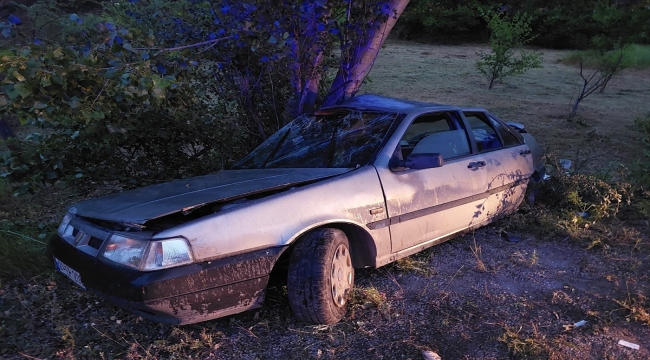 Erzincan'da trafik kazalarında 6 kişi yaralandı