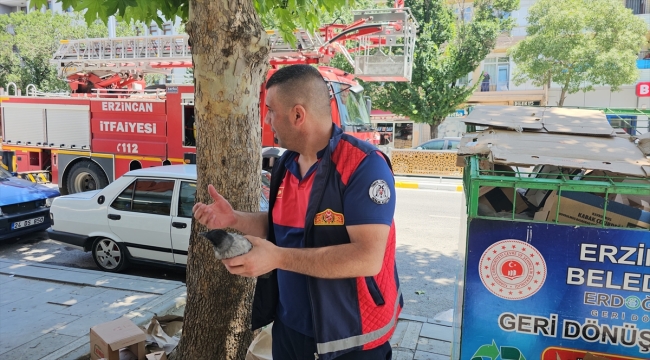 Erzincan'da vatandaşları kargaların saldırısından itfaiye ekipleri kurtardı