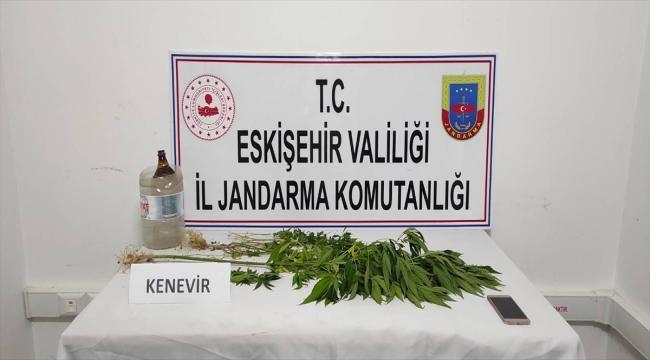 Eskişehir'de ilçe mezarlığına kenevir bitkisi ektiği iddia edilen zanlı yakalandı 