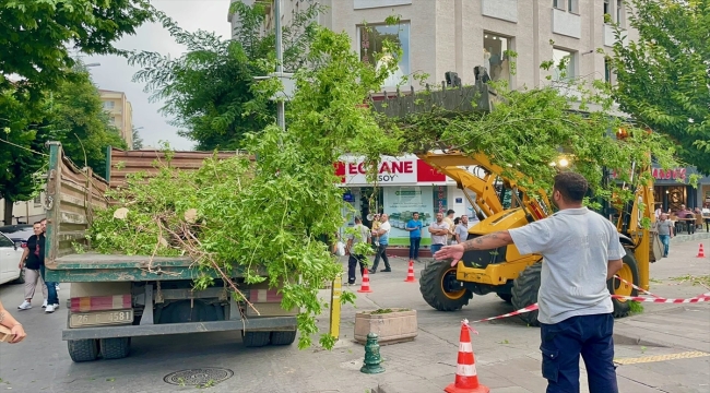 Eskişehir'de kuvvetli rüzgar ağacı devirdi