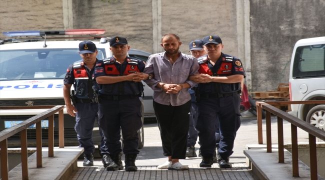 Bursa'da orman yangını çıkardığı öne sürülen zanlı adliyede