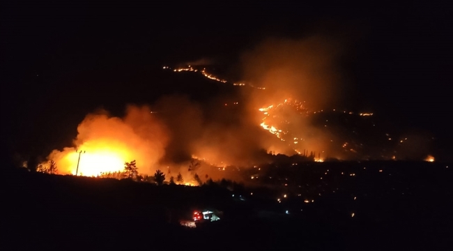 Mersin Gülnar'da orman yangını