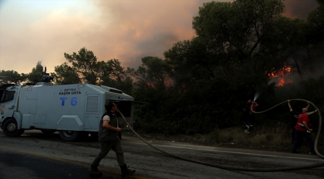 Muğla'da ormanlık alanda çıkan yangın kontrol altına alındı