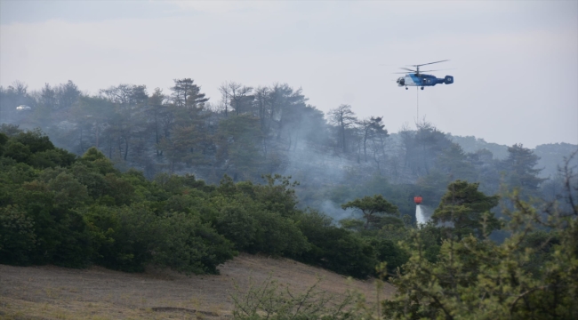 Çanakkale'deki orman yangını kontrol altına alındı