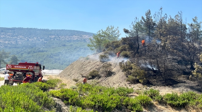 Antalya'da ormanlık alanda başlayan yangın kontrol altına alındı