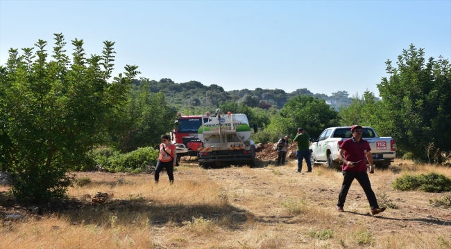 Antalya'nın Aksu ilçesinde çıkan orman yangını kontrol altına alındı