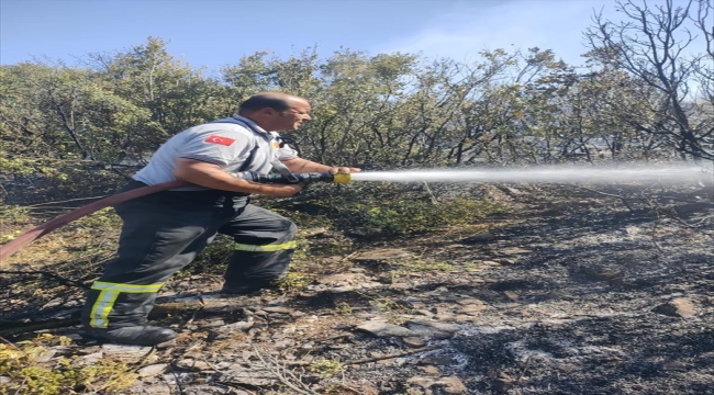 Burdur'da hububat tarlasında çıkan ve ormana sıçrayan yangın kontrol altına alındı