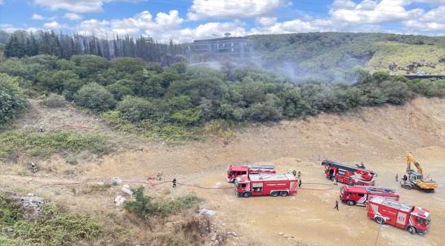 Kağıthane'de ormanlık alanda çıkan yangın söndürüldü