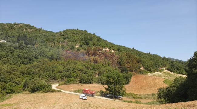 Osmaniye'de çıkan orman yangını kontrol altına alındı