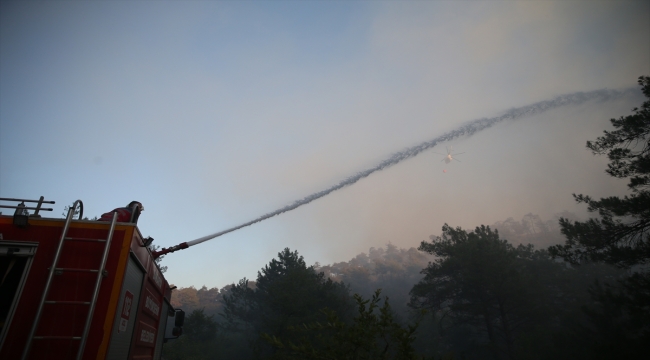 Sakarya'da ormanlık alanda çıkan yangın kontrol altına alındı