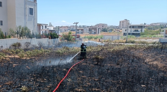 Hatay'da anız yangınında alevlerin ortasında kalan kaplumbağa kurtarıldı