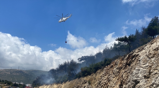 Hatay'da çıkan orman yangını söndürüldü