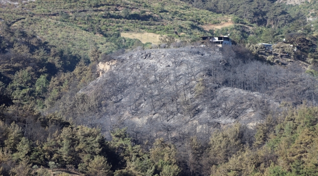 Hatay'ın Belen ilçesinde dün çıkan orman yangınına müdahale sürüyor