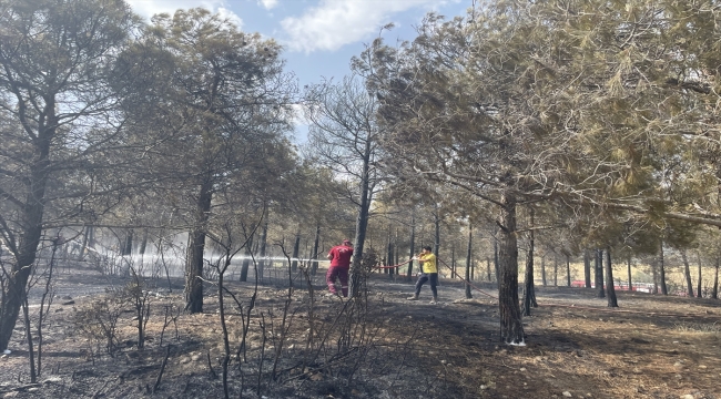 Isparta'da anız yangını ormanlık alana sıçradı