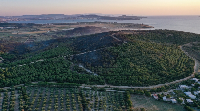 İzmir Aliağa'daki orman yangını kontrol altına alındı