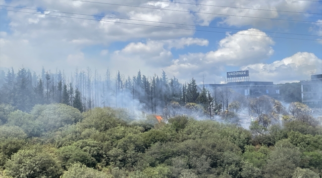 Kağıthane'de ormanlık alanda yangın çıktı 