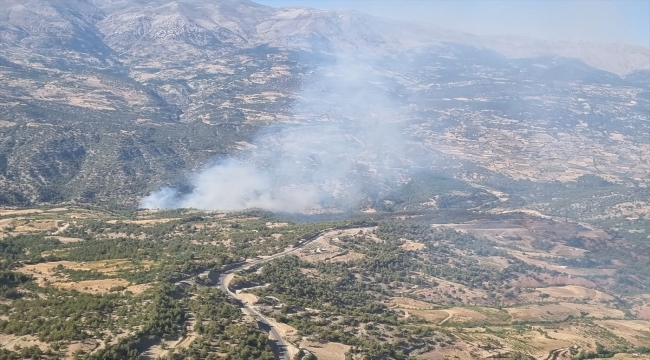 Kahramanmaraş'ta çıkan orman yangınına müdahale ediliyor