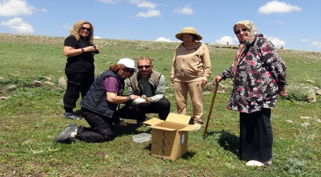 Kars'ta yaralı bulunan angut tedaviye alındı