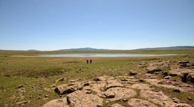 Kars'taki Asboğa Gölü yaklaşık 8 metre çekildi