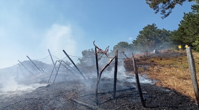 Kazdağları'nda çıkan yangın söndürüldü