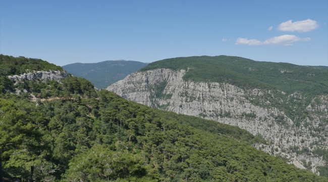 Kazdağları'ndaki cam seyir terası bayramda 12 bin kişi tarafından ziyaret edildi