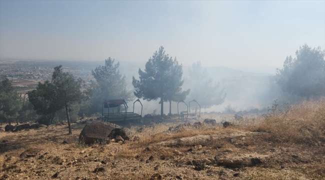 Kilis'te mesire alanında çıkan yangın söndürüldü