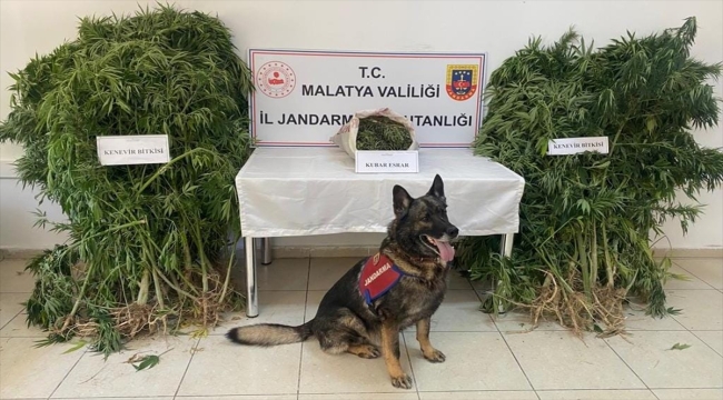 Malatya'da uyuşturucu operasyonunda yakalanan zanlı tutuklandı 