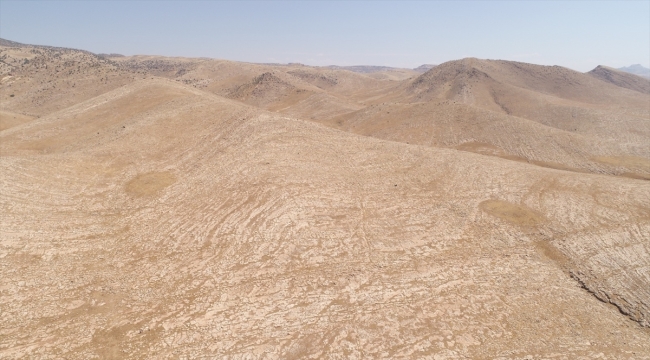 Mardin'de Pleistosen ve Erken Holosen döneme ilişkin arkeolojik yüzey araştırması başlatıldı