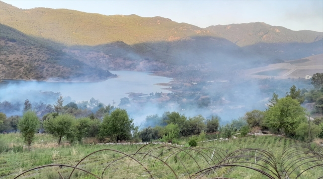 Mersin'de tarım arazisinde çıkan yangın kontrol altına alındı 