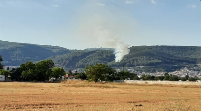 Muğla'da orman yangını çıktı