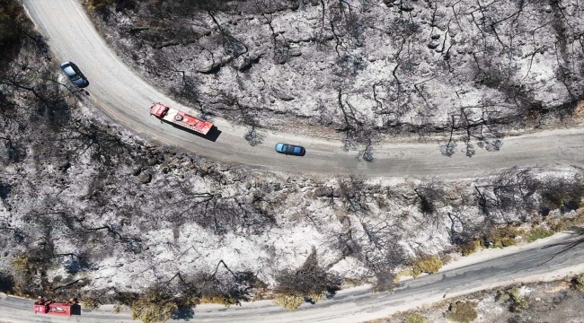 Muğla'da yangından zarar gören alanlar havadan görüntülendi