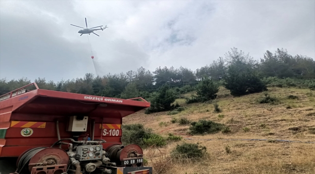 Osmaniye'de çıkan orman yangını kontrol altına alındı