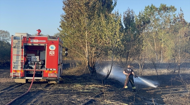 Tekirdağ Çorlu'da ormanlık alanda çıkan yangın kontrol altına alındı 