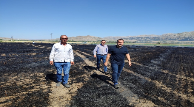 Afyonkarahisar'da 65 dekarlık tarım arazisi yangında zarar gördü