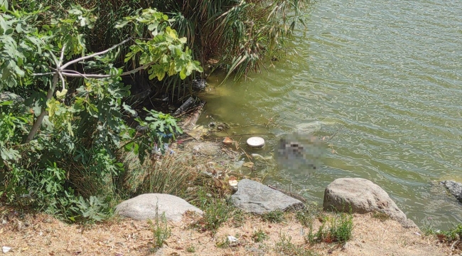 Bakırköy Botanik Parkında hayvanları öldüren ilgisizlik