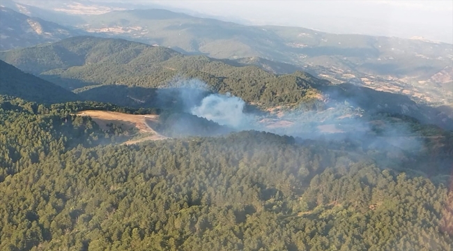 Balıkesir İvrindi'de orman yangını çıktı