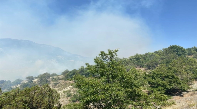 Bilecik'te çıkan orman yangınına havadan müdahale ediliyor