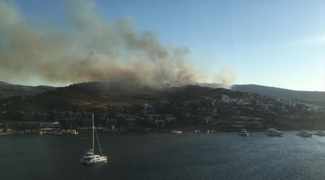 Bodrum'da makilik alanda çıkan yangına müdahale ediliyor