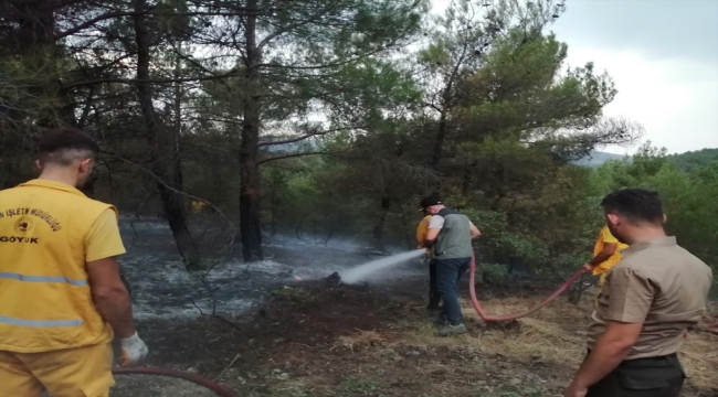 Bolu'da yıldırımın isabet etmesi soncu orman yangını çıktı