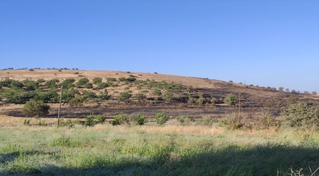 Elazığ'da çıkan yangında 250 dönüm ekili alan zarar gördü