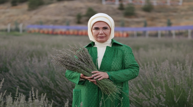 Emine Erdoğan, Ankara'da Ekolojik Köy ziyareti ve lavanta hasadı yaptı