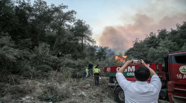 Bilecik'te çıkan orman yangınına müdahale sürüyor