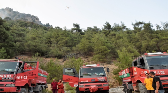 Bilecik'te çıkan orman yangını kısmen kontrol altına alındı