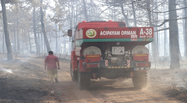 Denizli'de çıkan orman yangını kontrol altına alındı