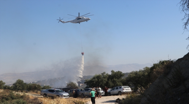 Hatay'da zeytinlik ve ormanlık alanda çıkan yangın kontrol altına alındı