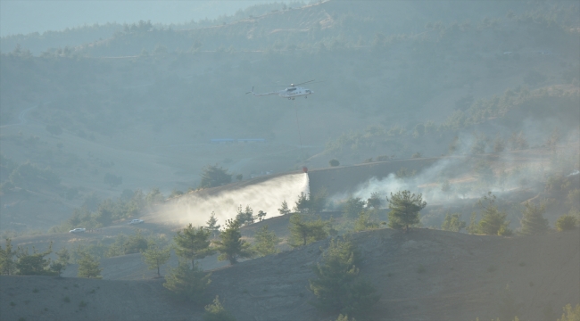 Kahramanmaraş'ta ormanlık alanda çıkan yangın kontrol altına alındı