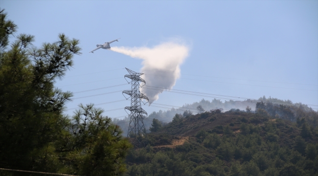 Hatay'da çıkan orman yangını söndürüldü 