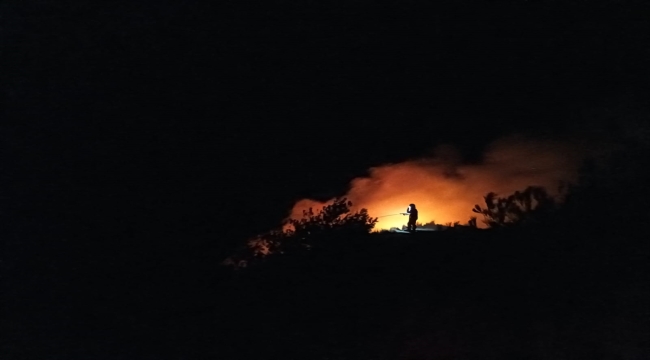 Hatay'da makilik alanda çıkan yangın söndürüldü